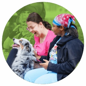 Students overjoyed while greeting a very friendly dog with long hair and spots.