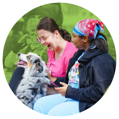 Students overjoyed while greeting a very friendly dog with long hair and spots.