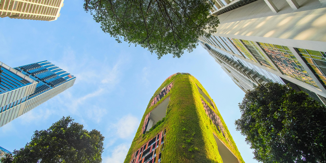 UD Sustainability header View from street level looking up at skyscrapers and tree crowns in an urban area. One of the towers is covered in green plants.