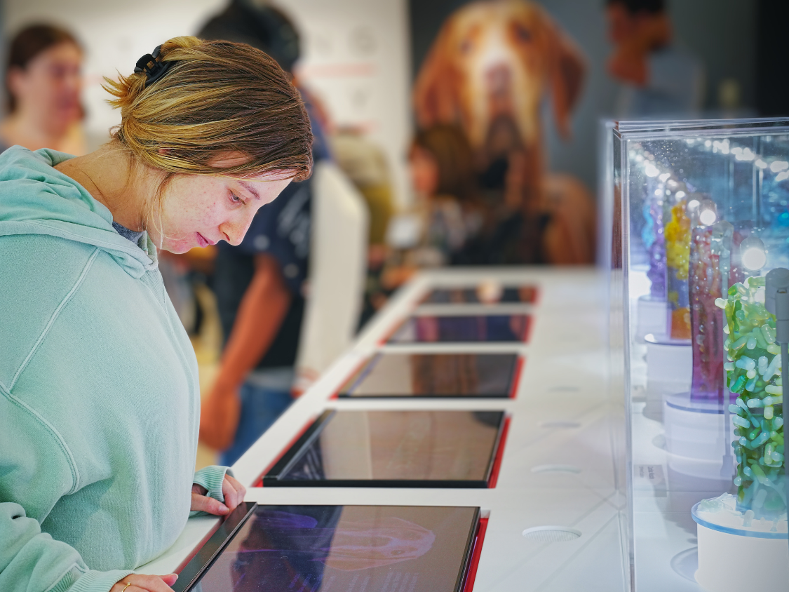 Student reading information on an interactive display at the Purina Institute.